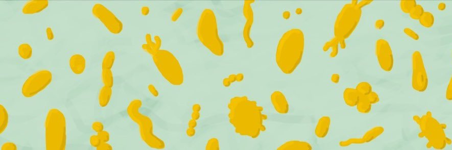 MagdalenaHK's profile banner image