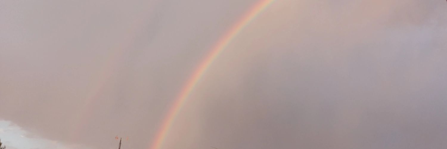 LitWhiteDragon's profile banner image