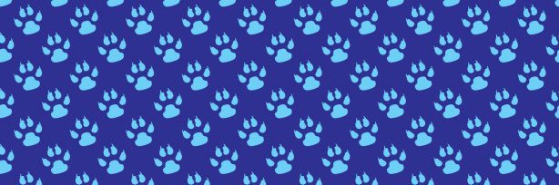 DHS_Stevenson's profile banner image