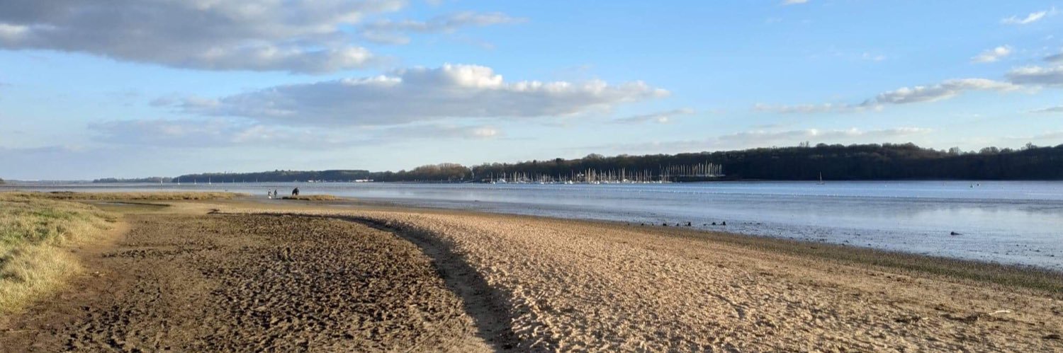 Stefanie Thorne banner