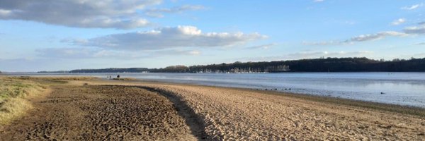 steftea Profile Banner