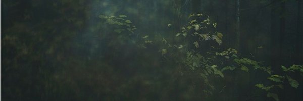 ethworm Profile Banner