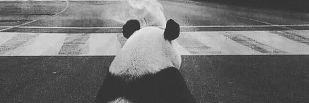 donpxndx69's profile banner image