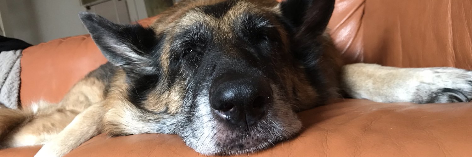 tildaa69's profile banner image