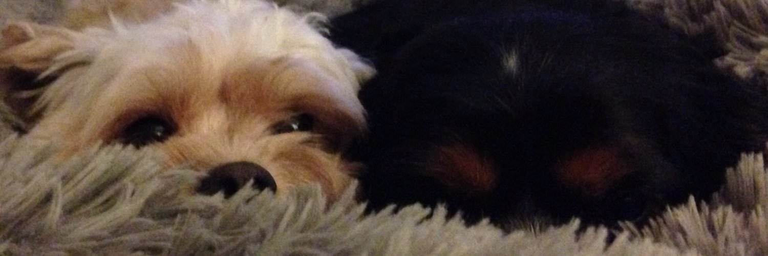 millsy415's profile banner image