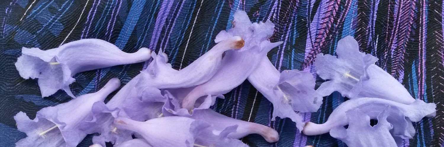 DKCipactli's profile banner image
