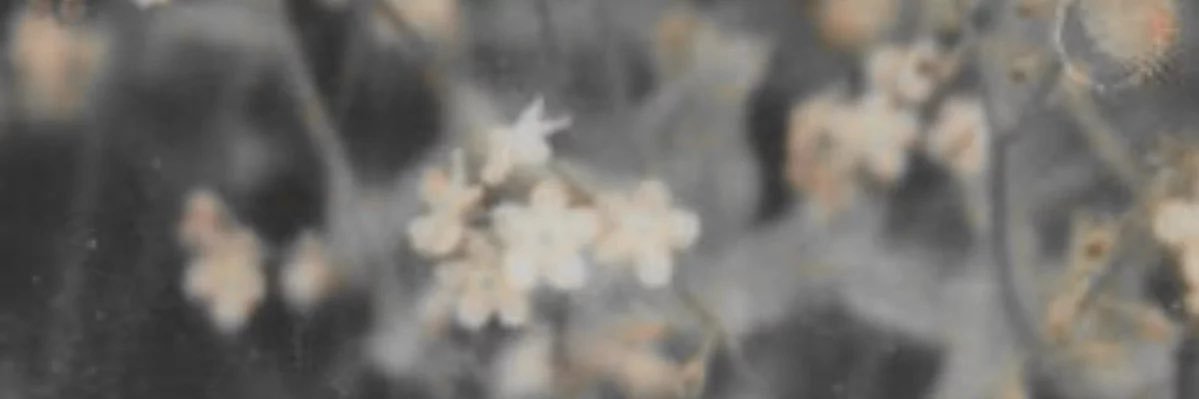 hyunbin's profile banner image
