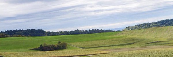 cloudyyearss Profile Banner