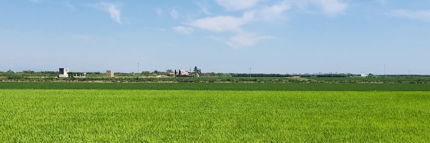 Amparo Santonja banner