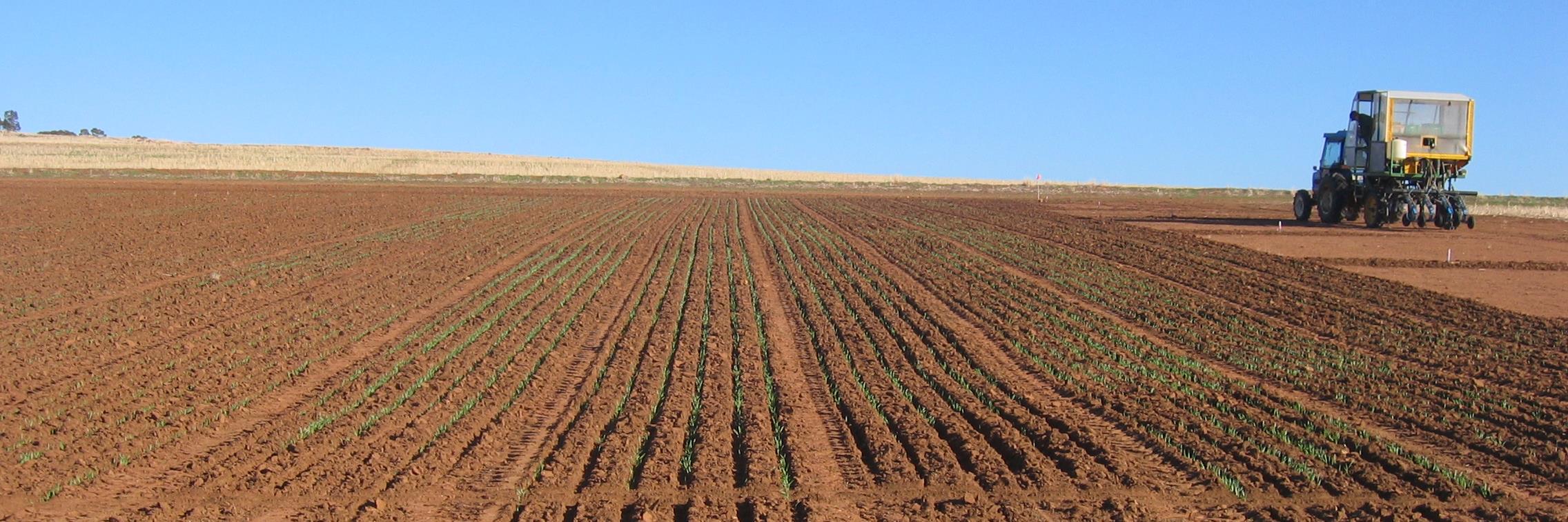 Daniel Huberli banner