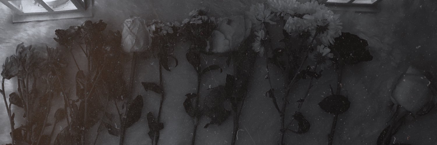 MA__ll2i's profile banner image
