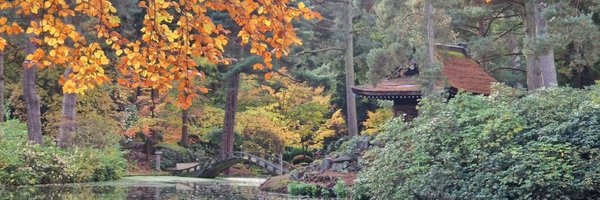 VCiaputa1 Profile Banner