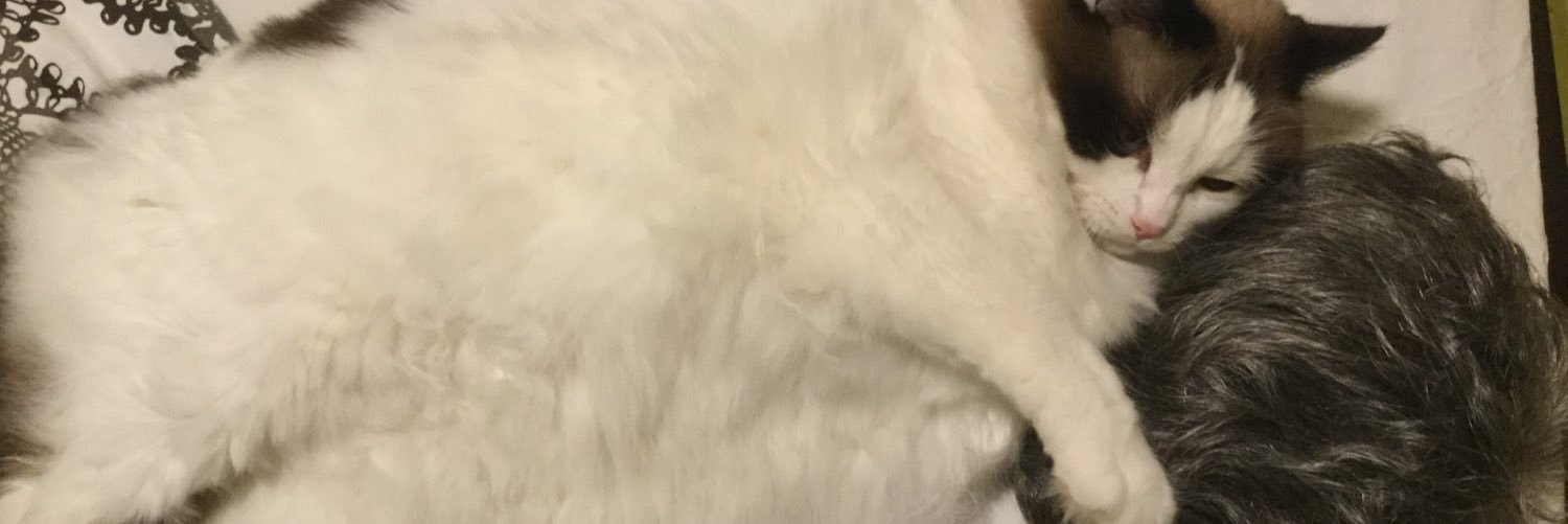 annisairi's profile banner image