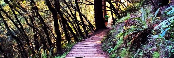 Insidetrail Profile Banner