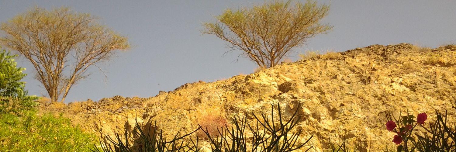 UlrichSeidl's profile banner image