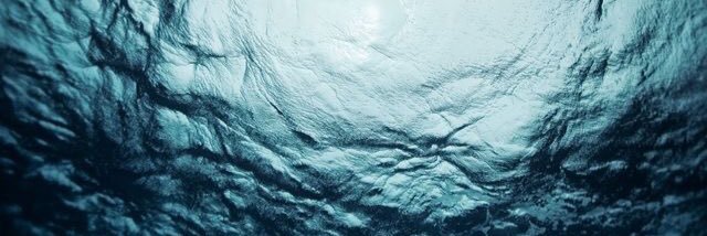 m_graullera's profile banner image