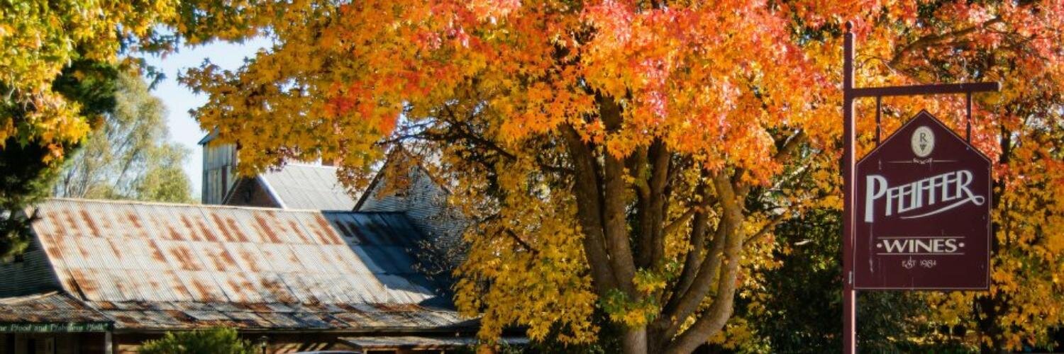 PfeifferWines's profile banner image