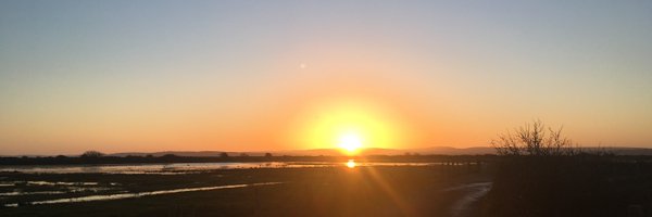 FieldKelly Profile Banner