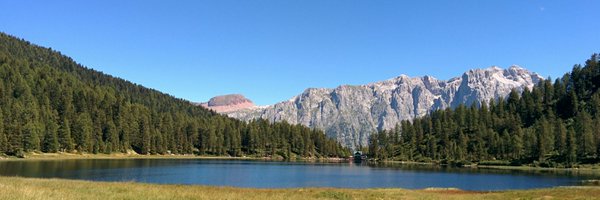 Angelo_1958 Profile Banner