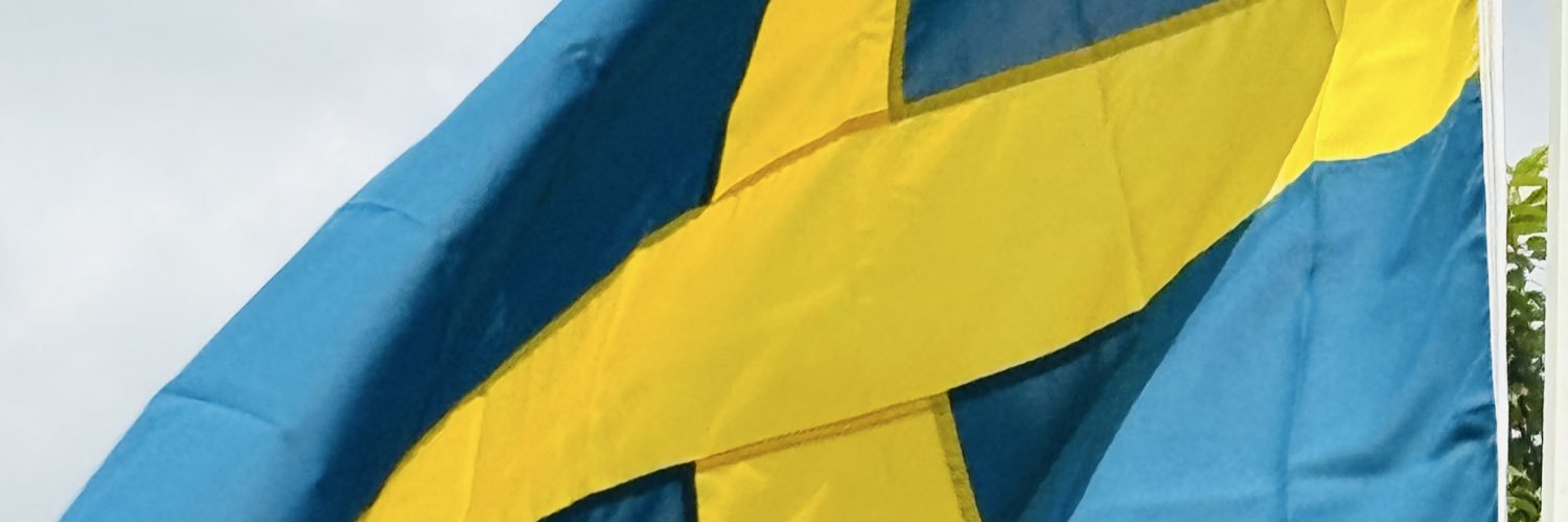 PierreSalomon's profile banner image