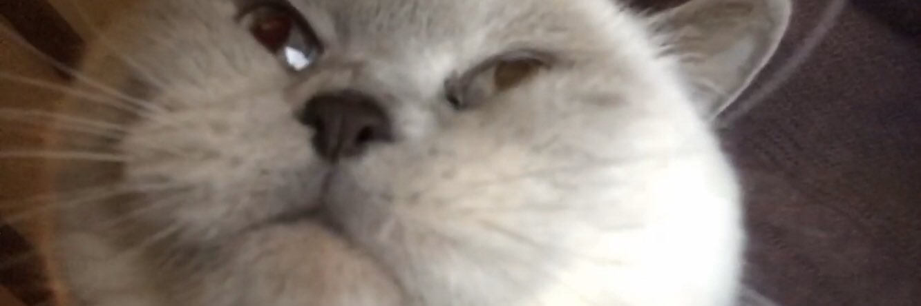 lislvdbroeck's profile banner image