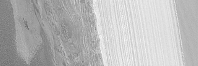 Arisara_Ice's profile banner image