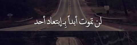 MahmoudAid4's profile banner image