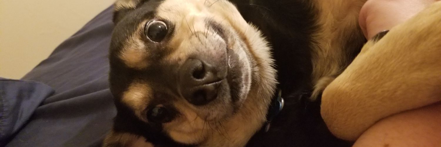 Duckys_Momma's profile banner image