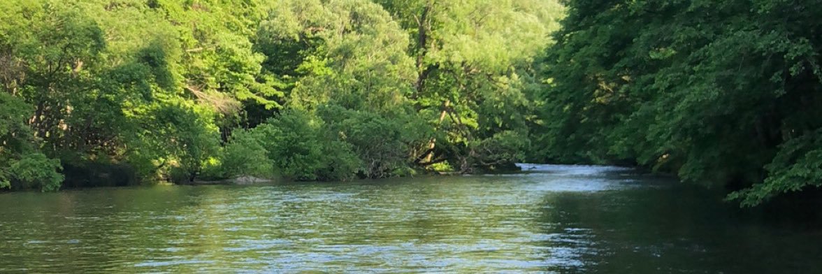 trout_mayfly's profile banner image