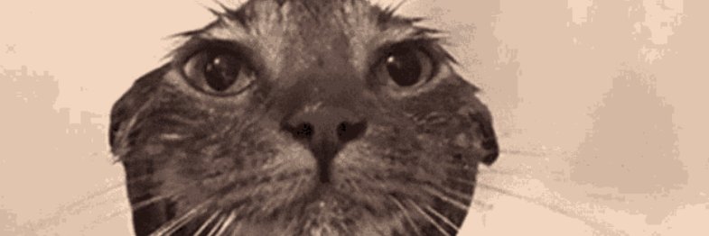 TheFuege's profile banner image