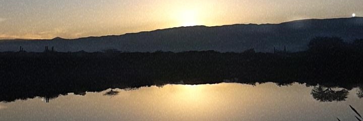 Ele_avalos96's profile banner image