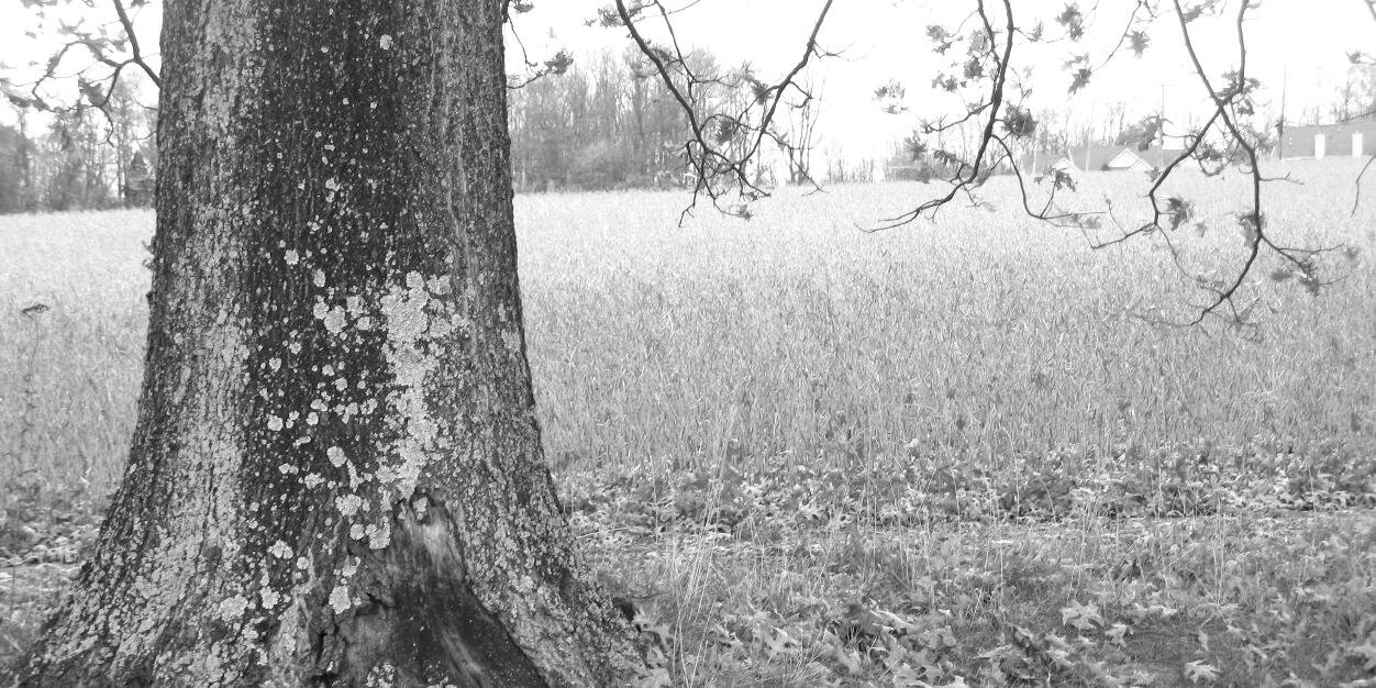 insieme4's profile banner image