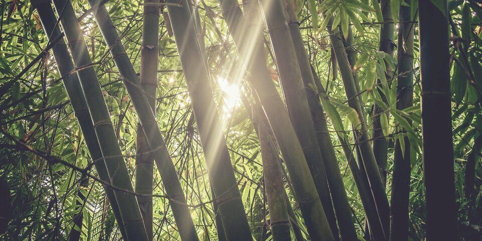 meehoonkwei's profile banner image