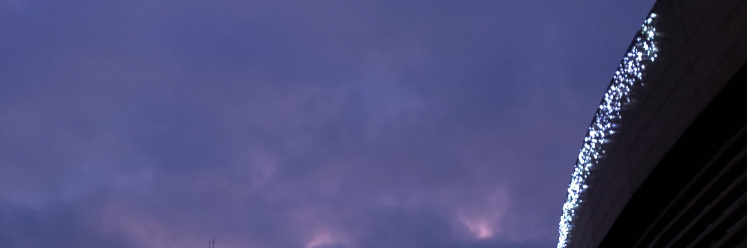 annaarctic_'s profile banner image