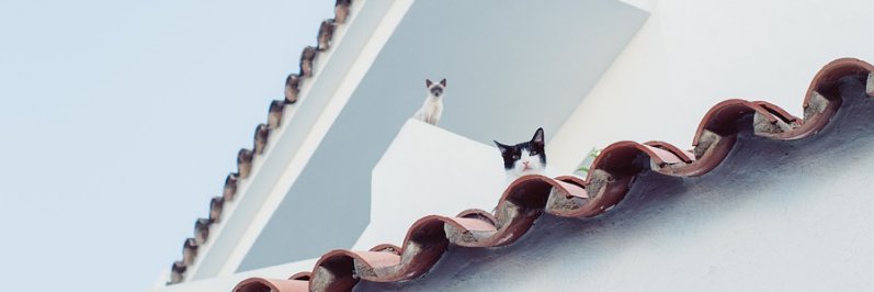 openbai89's profile banner image