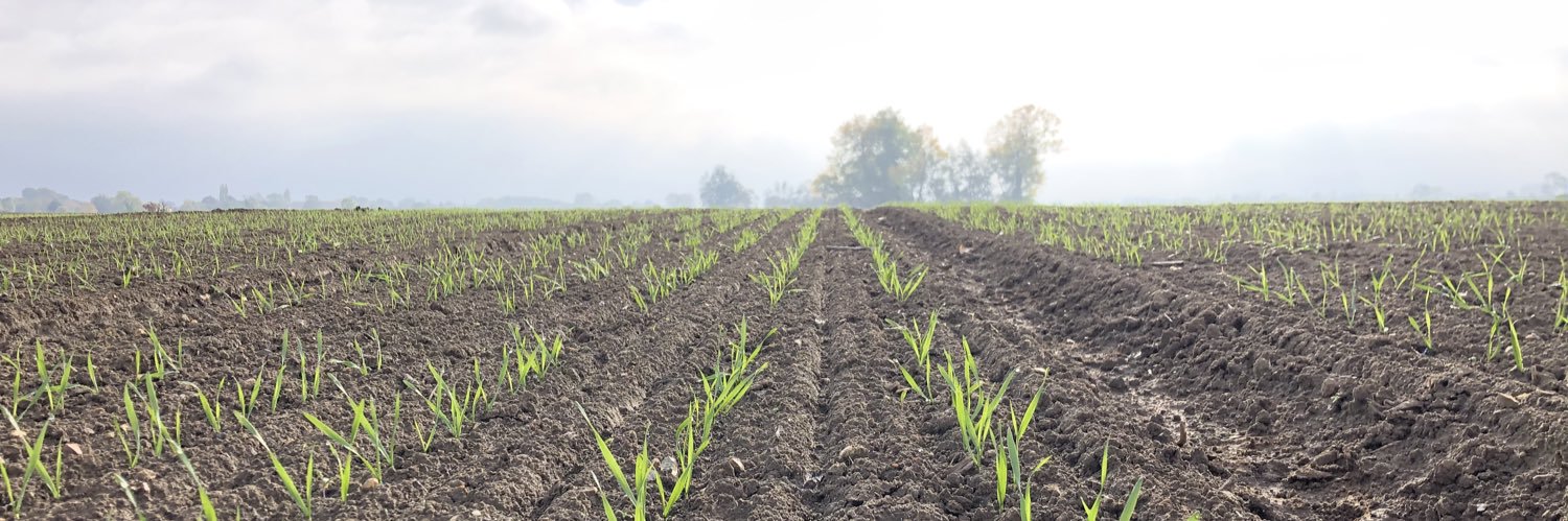 James Armstrong banner