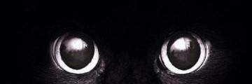fitrinff's profile banner image