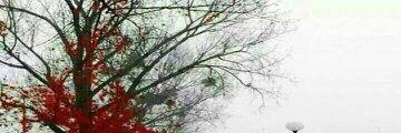 abhinav171998's profile banner image