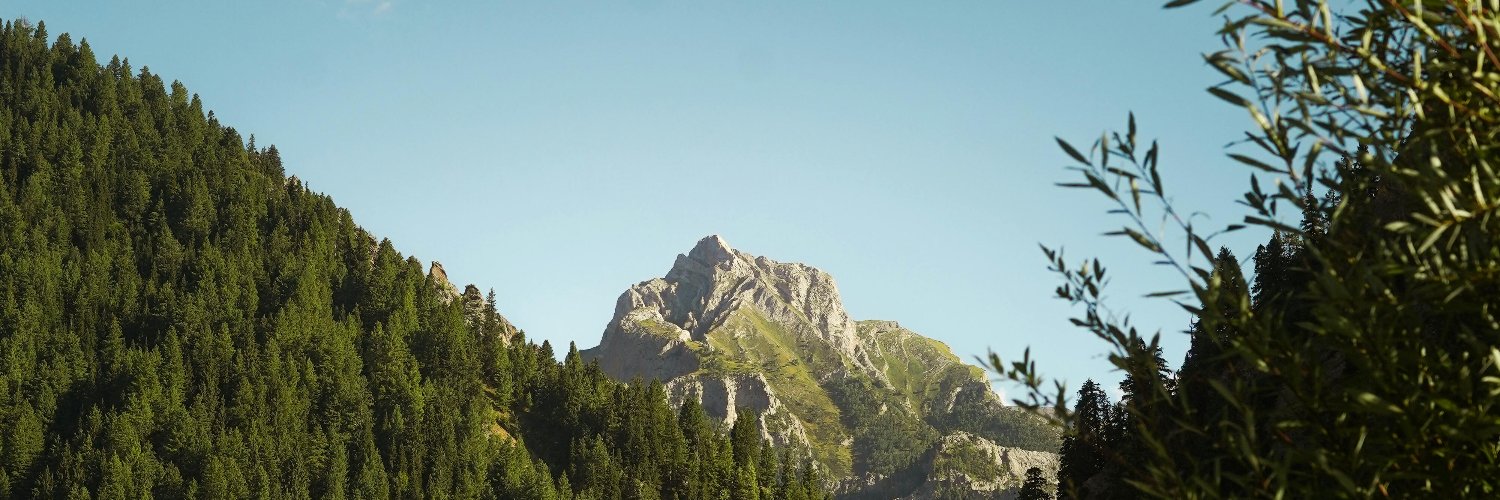 DEBBYMUOS's profile banner image
