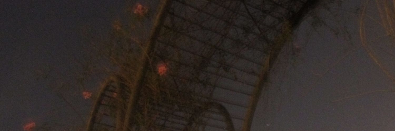 gabi ᵕ̈ banner