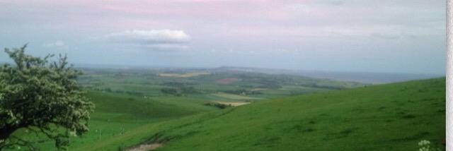 Sam Wadeeeeee banner