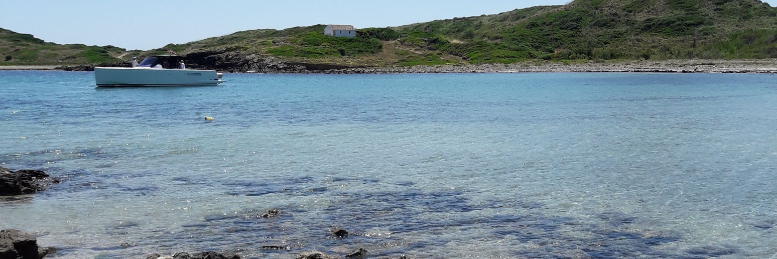 Anna Serra i Gironès 🎗 banner