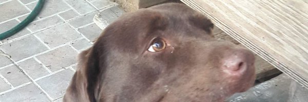 YASAMASAYGI Profile Banner