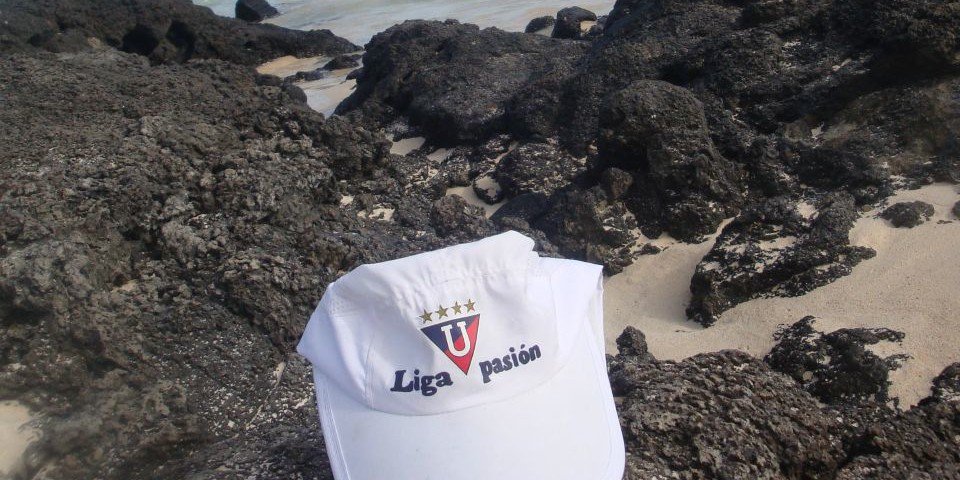 patty_ldu's profile banner image