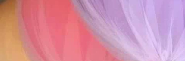 sehluktu's profile banner image