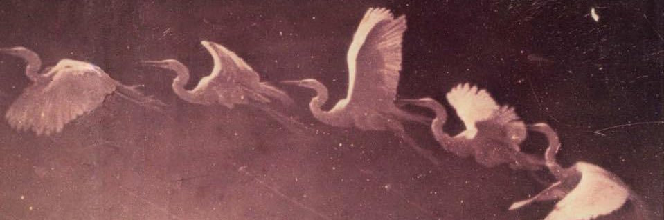 Joseph Bulbulia's banner