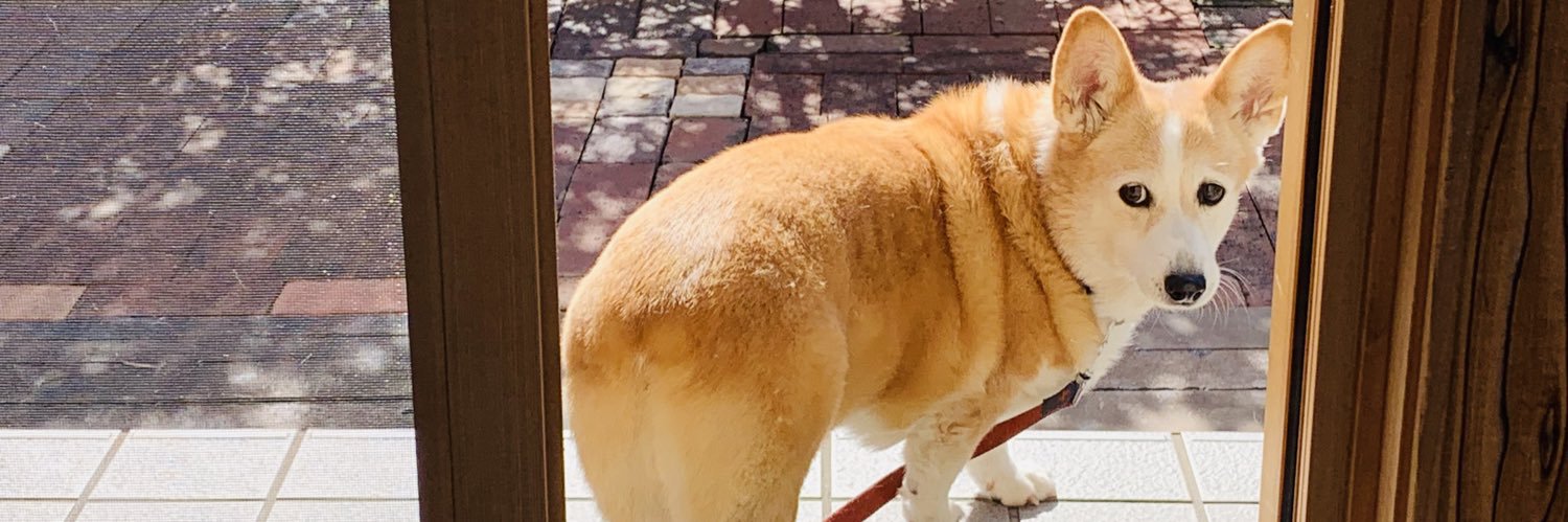 friendlycompet2's profile banner image
