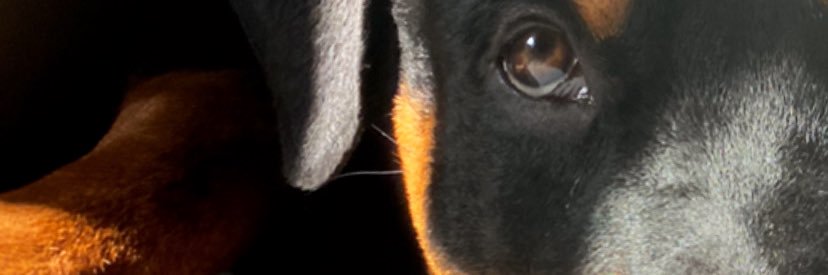 A r a n t x a a a banner