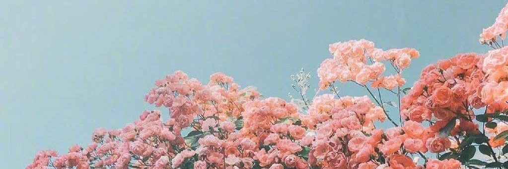Ashikinariff_'s profile banner image
