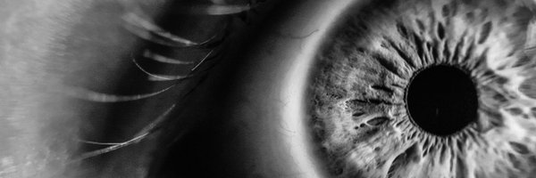 stephanemartel Profile Banner